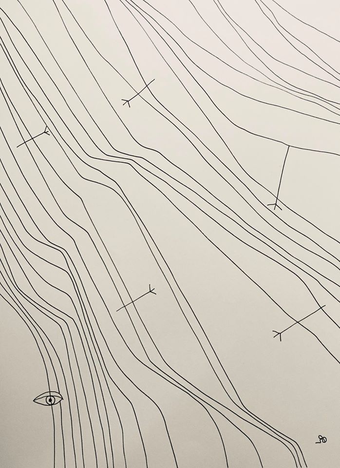 налсовна слика