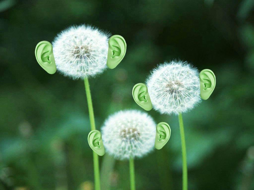 насловна слика