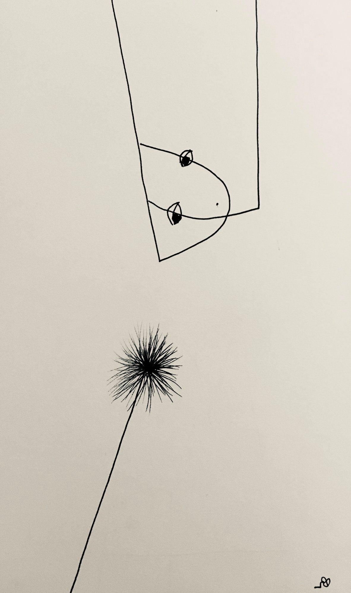 налсовна слика