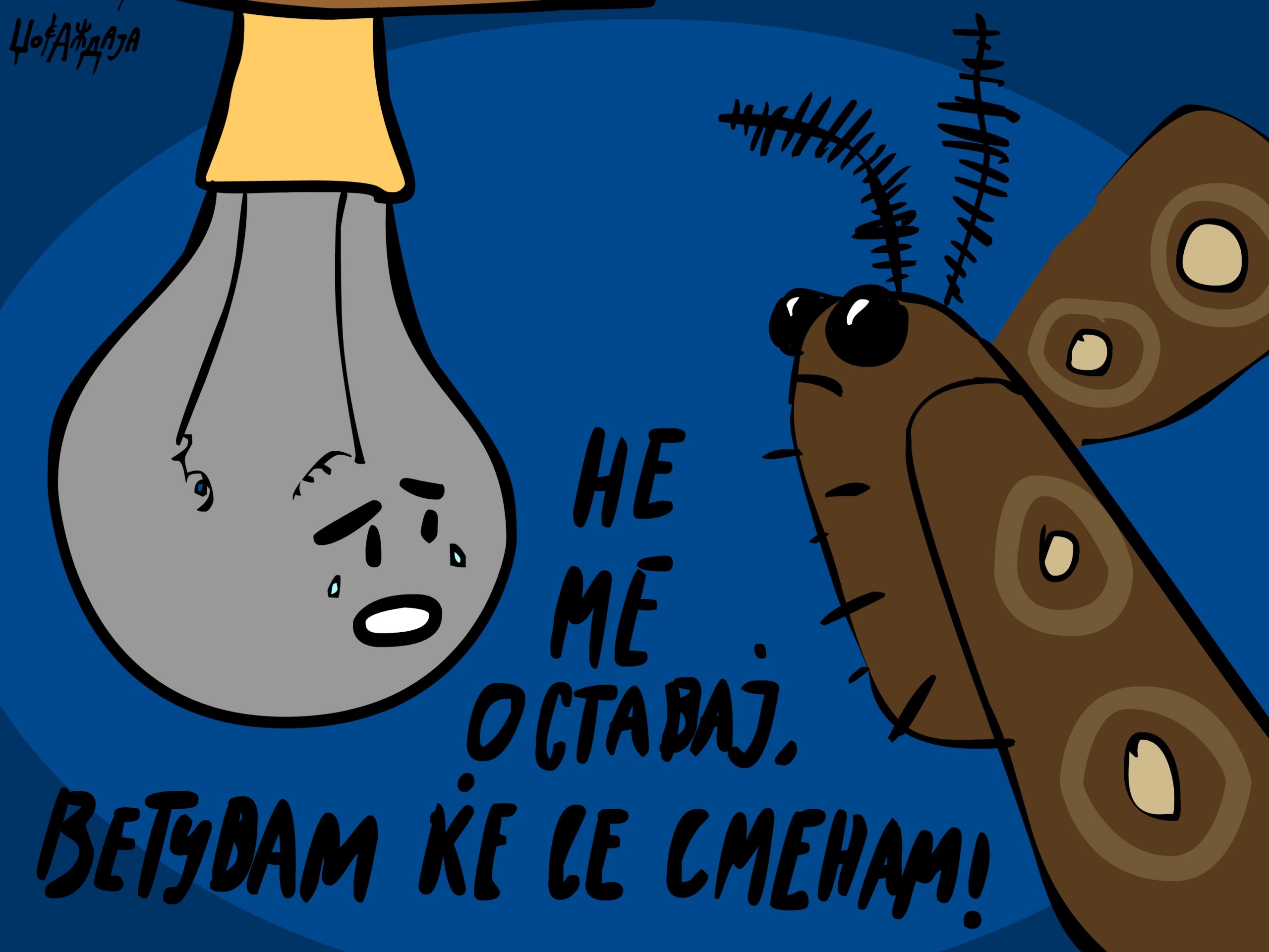 налсовна слика