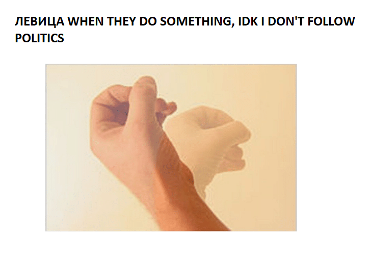 налсовна слика