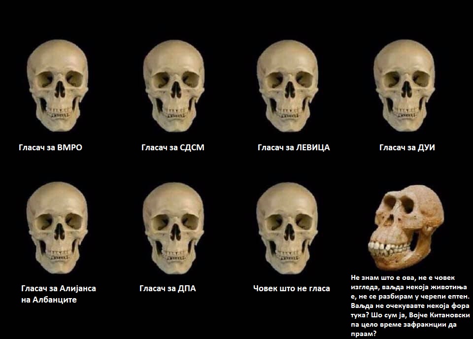 налсовна слика