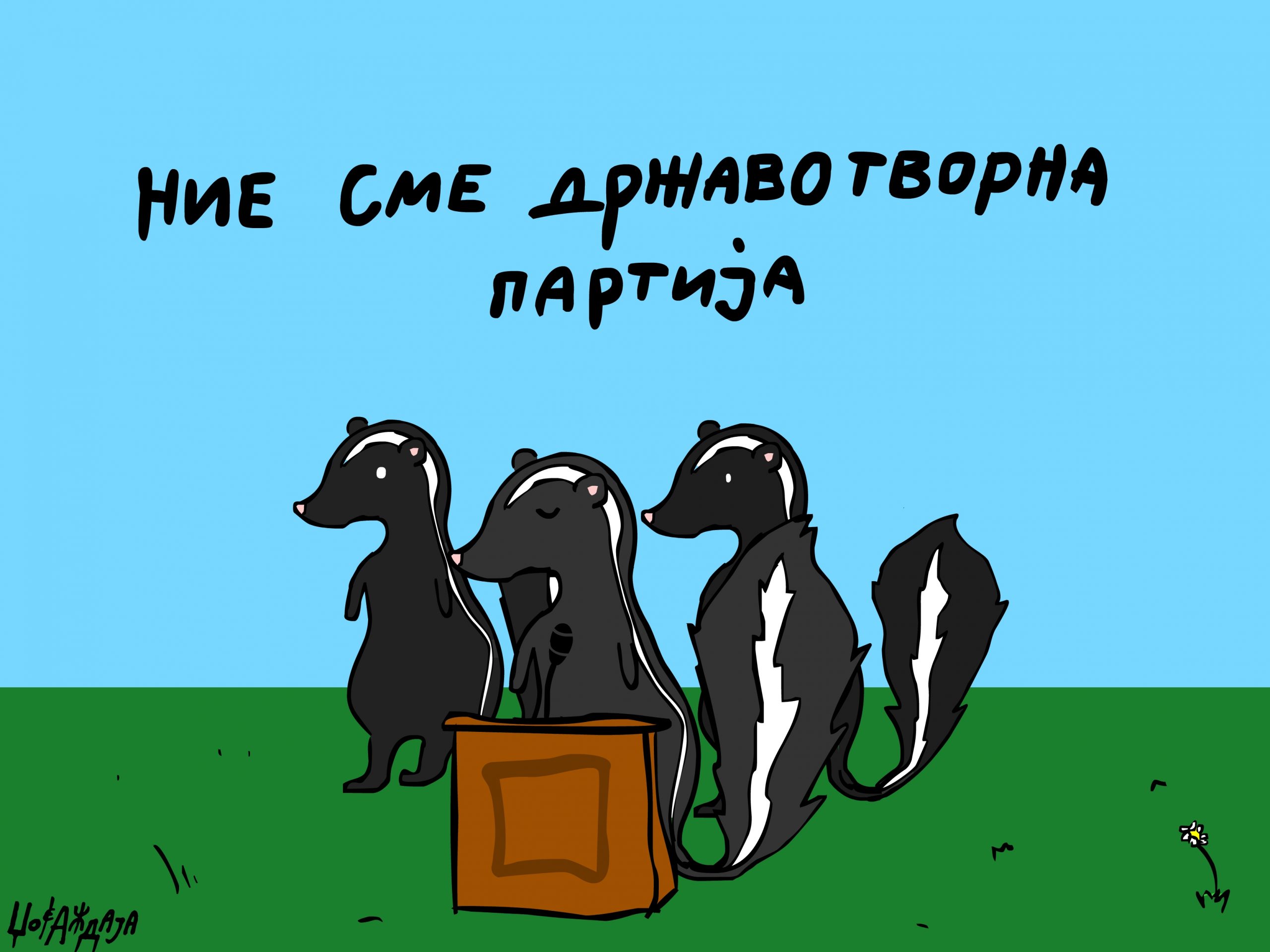 налсовна слика