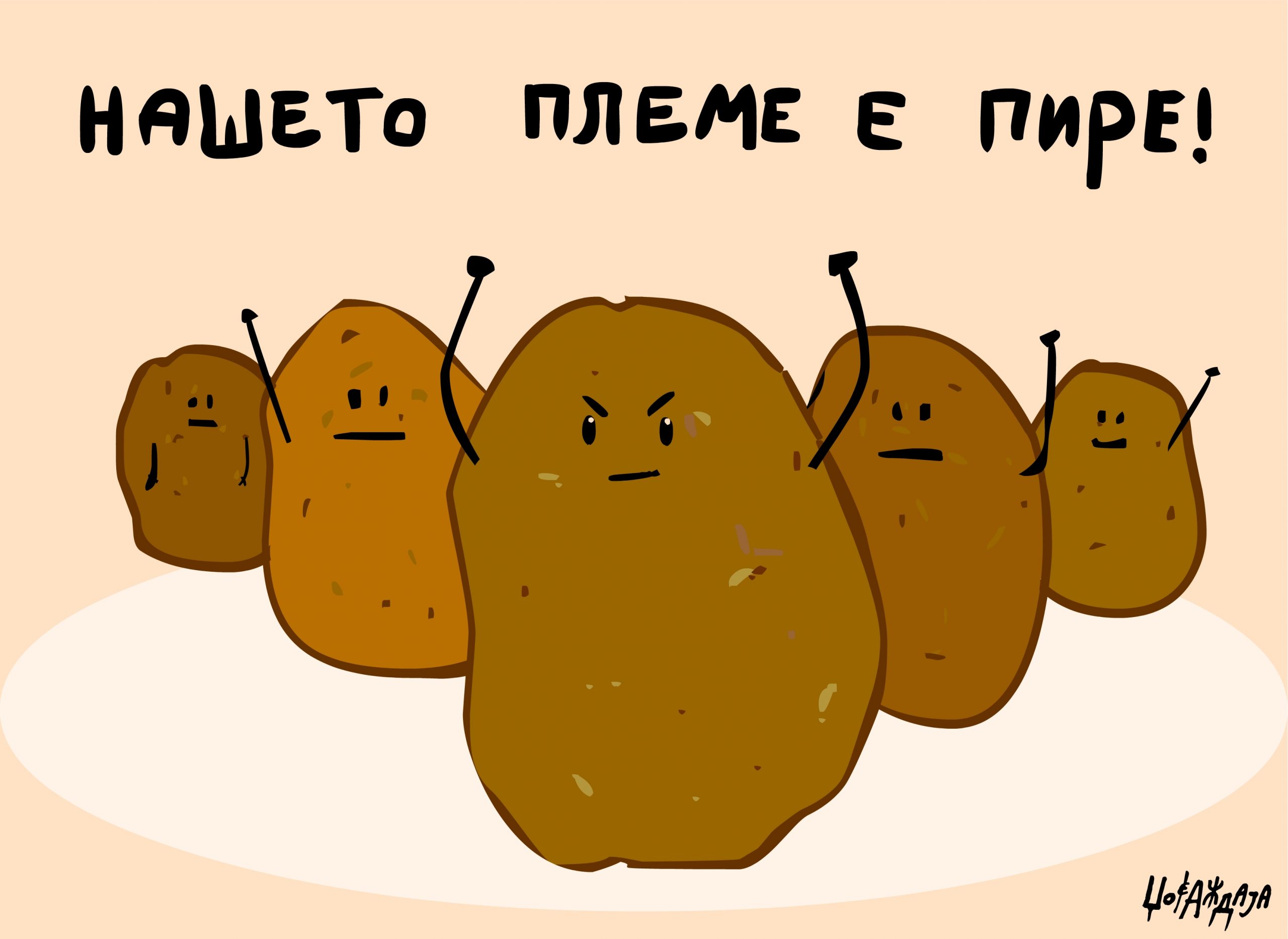 налсовна слика