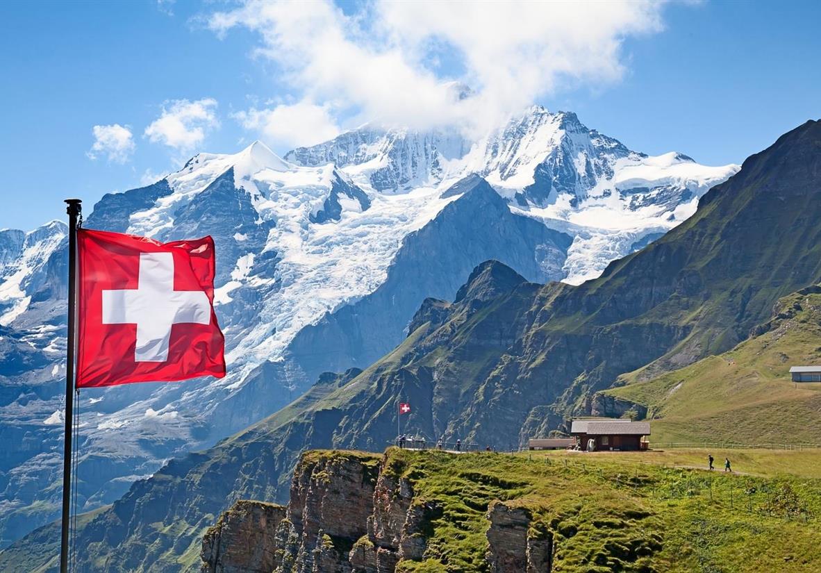 налсовна слика