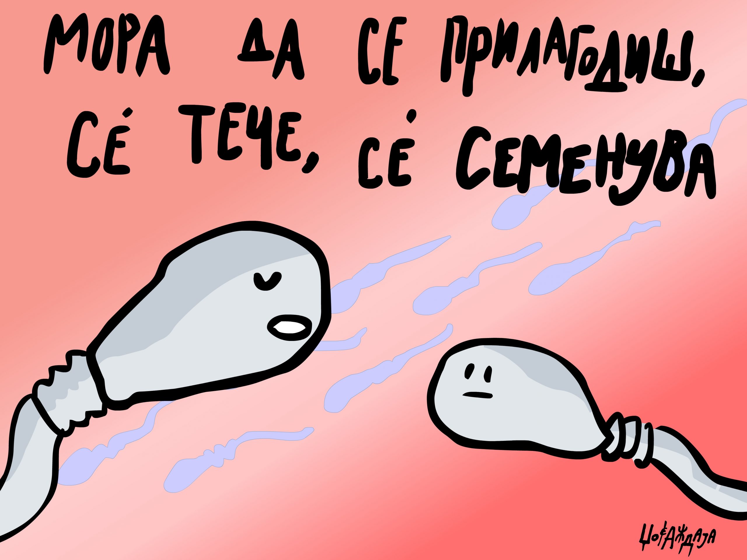 налсовна слика