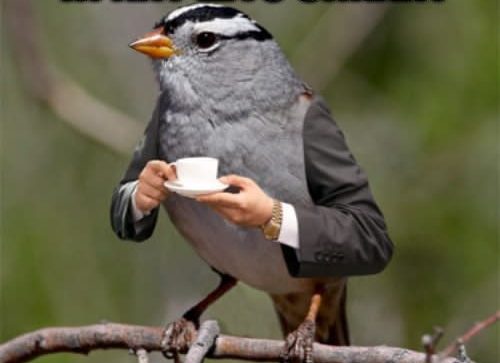 налсовна слика