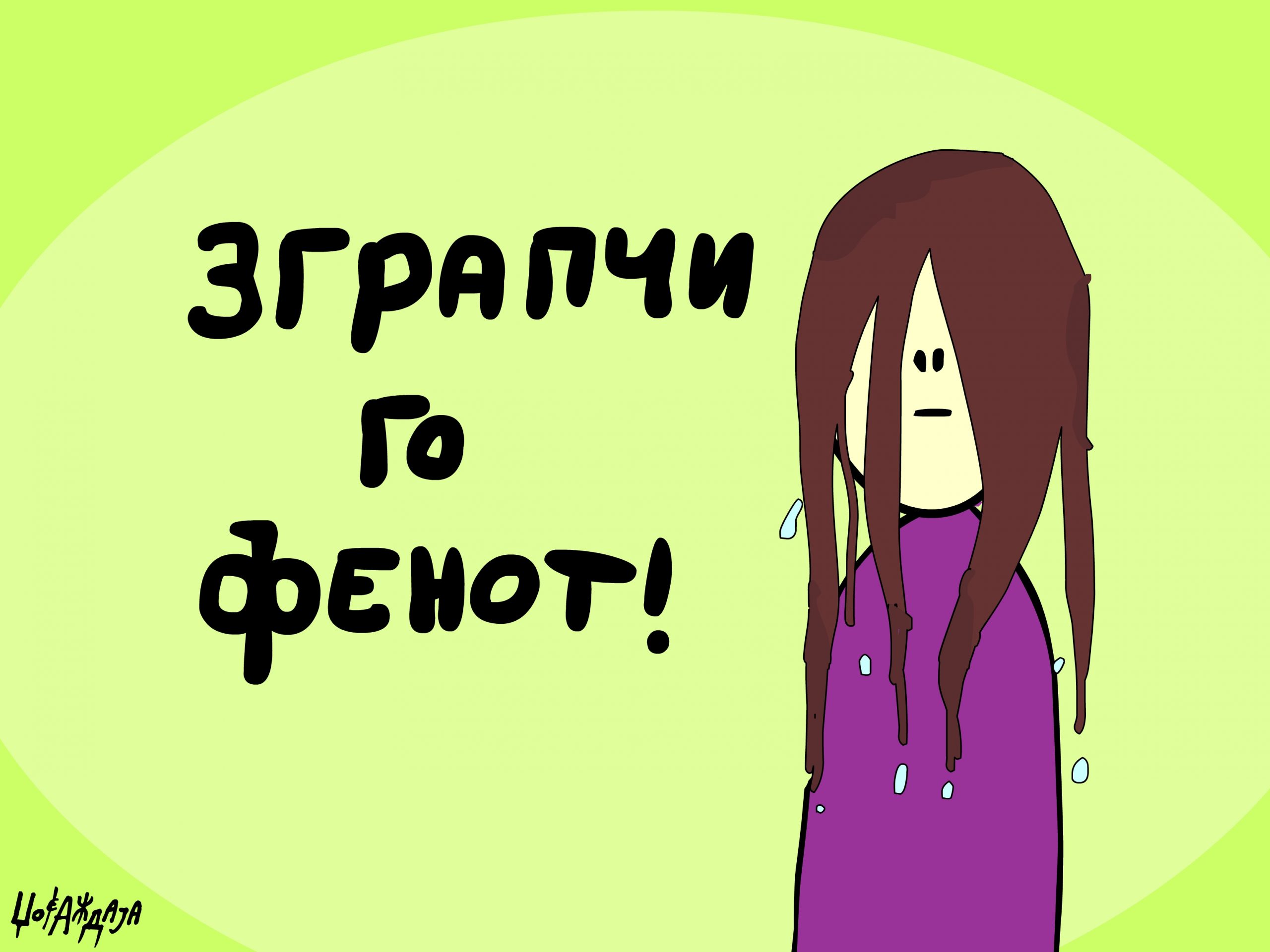 налсовна слика