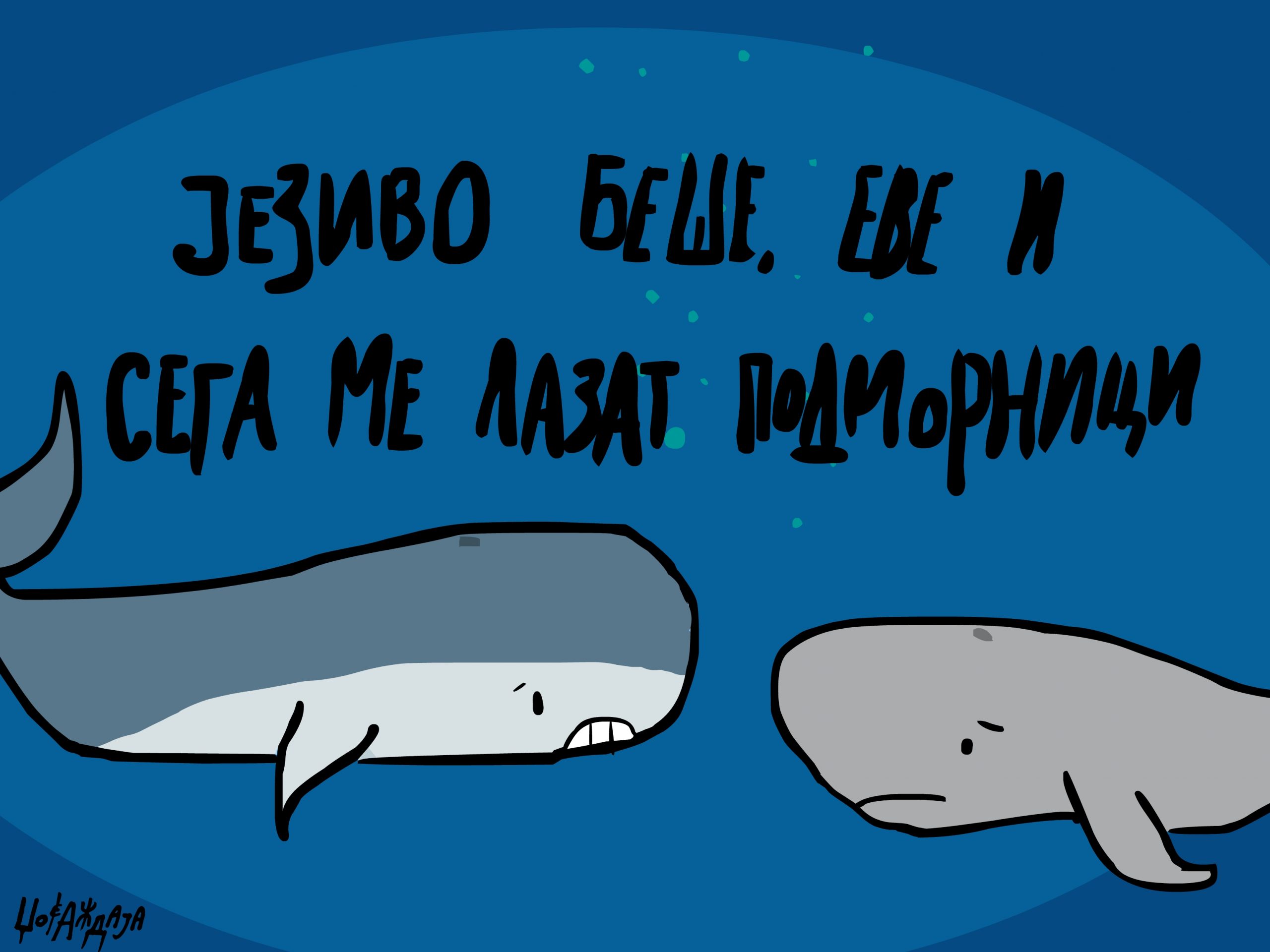 налсовна слика