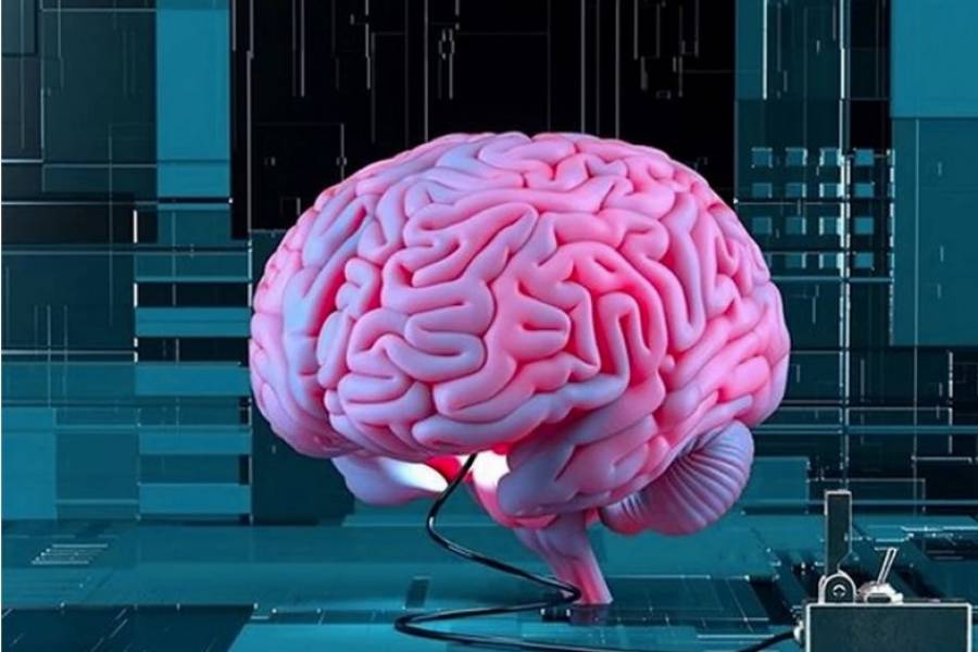 налсовна слика