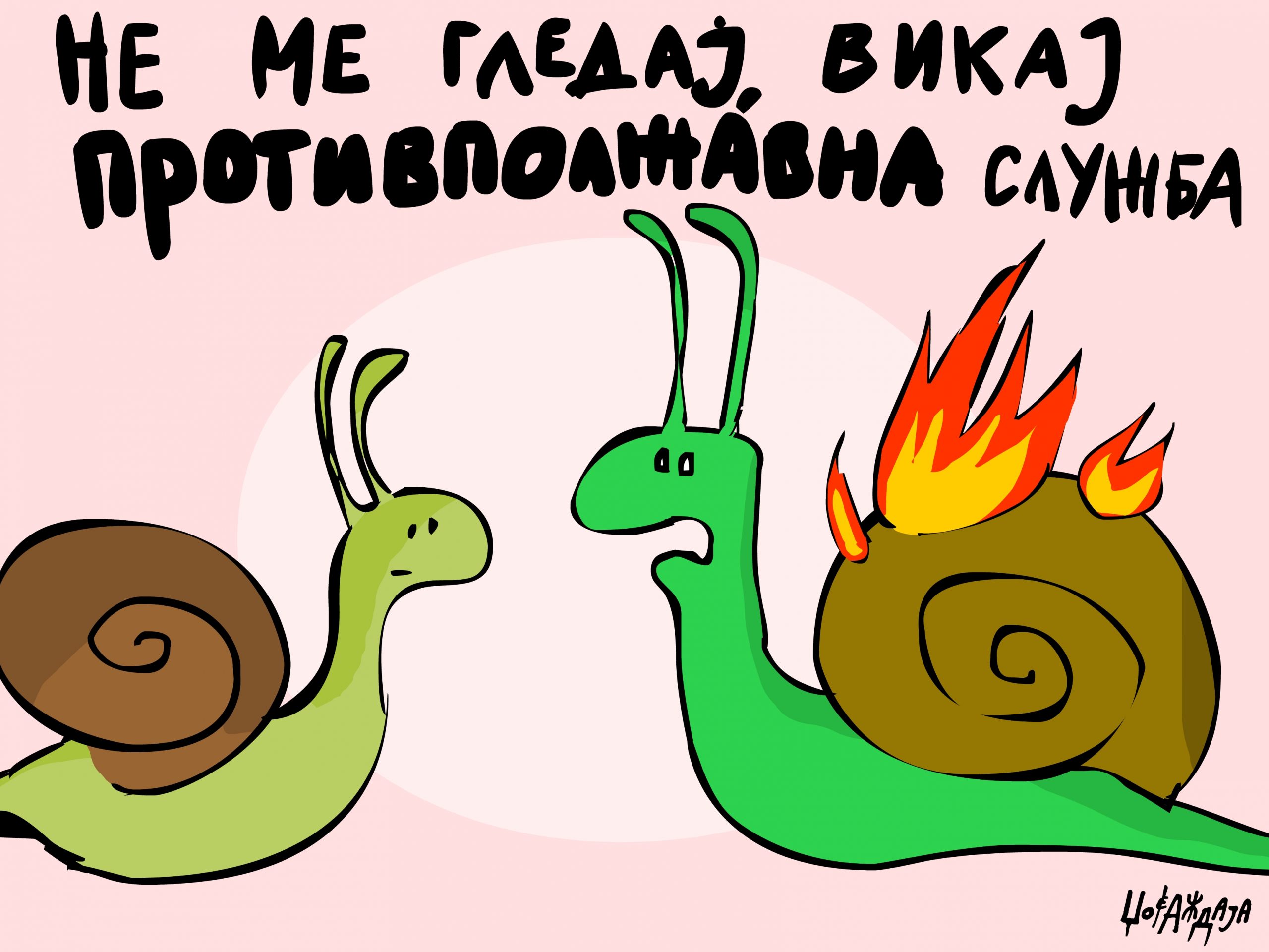 налсовна слика