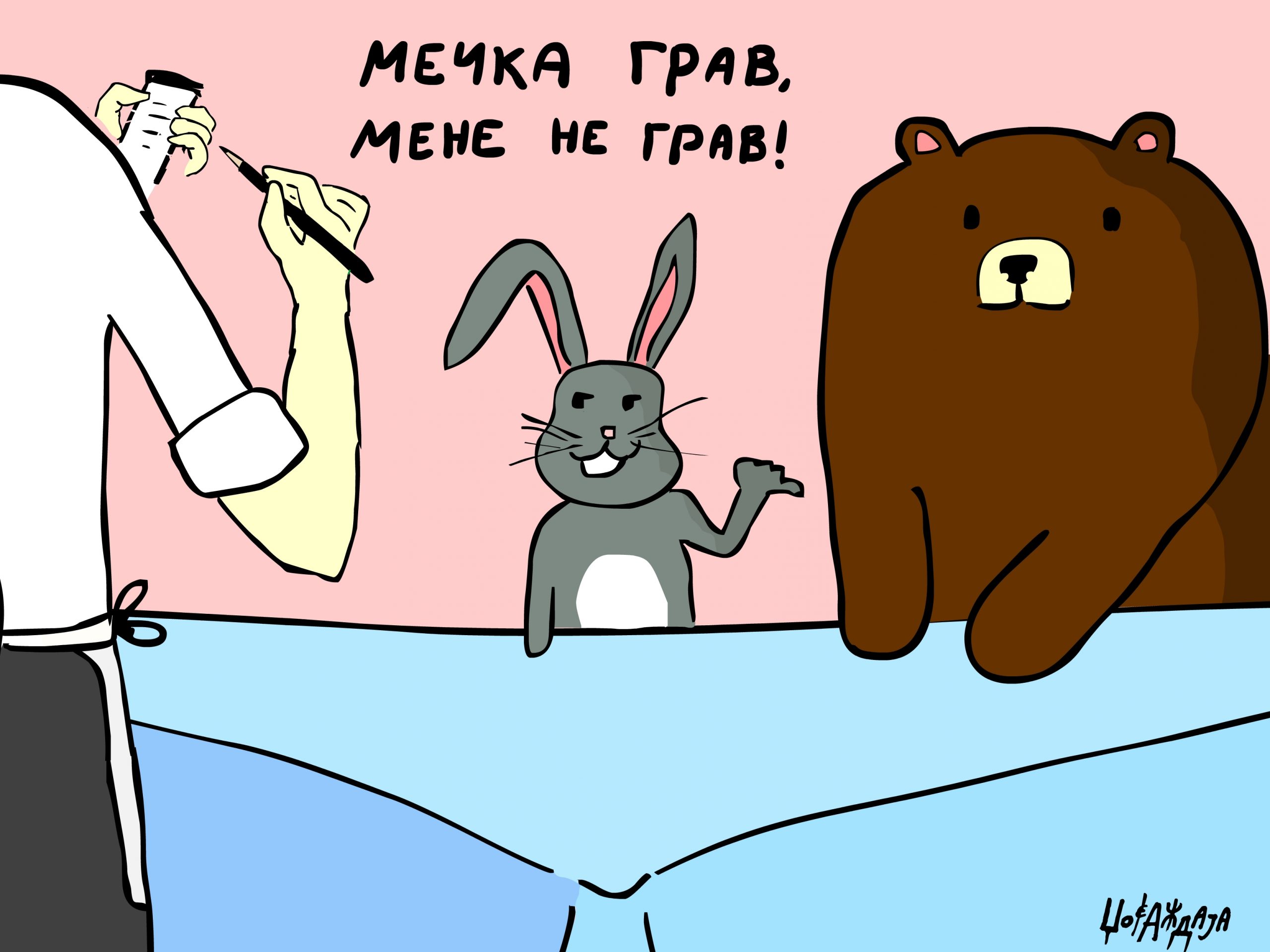 налсовна слика