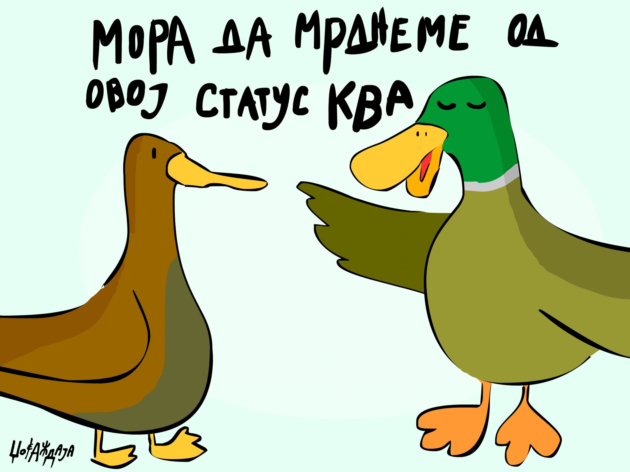 налсовна слика