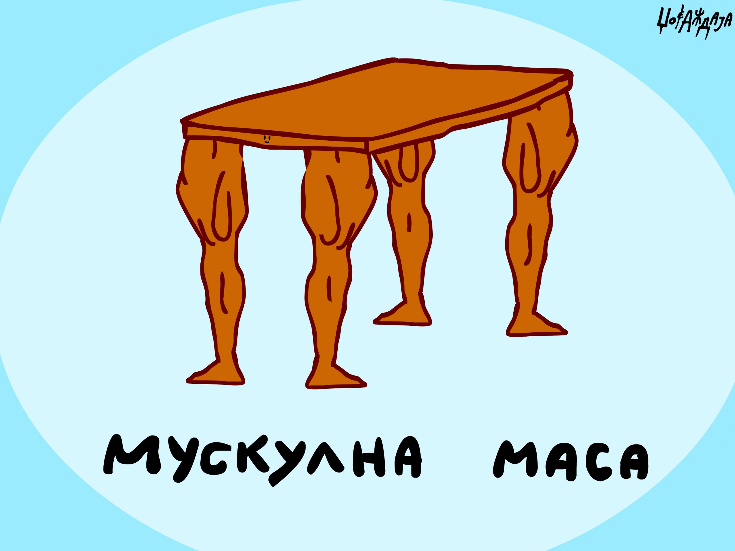 налсовна слика