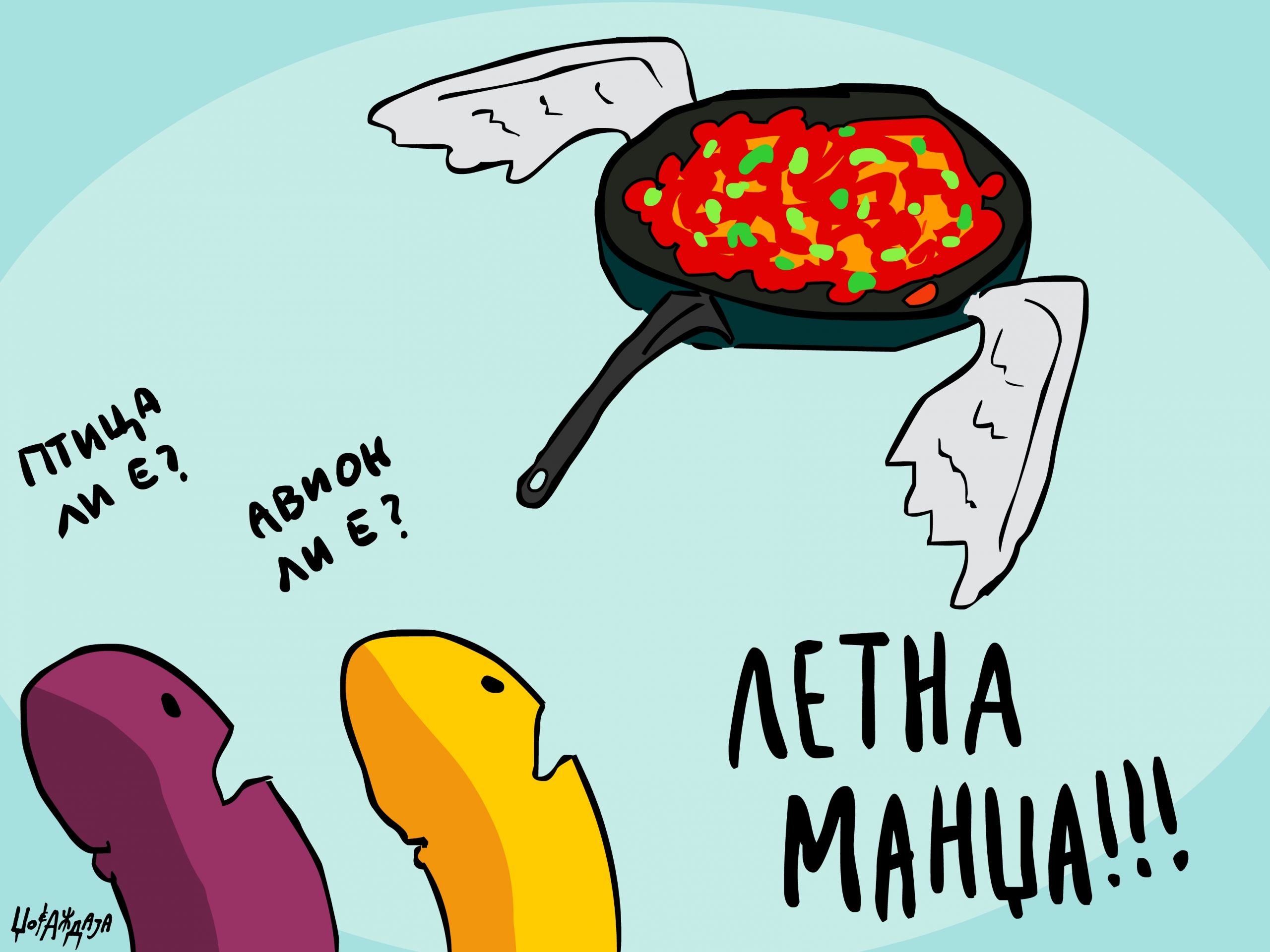 налсовна слика