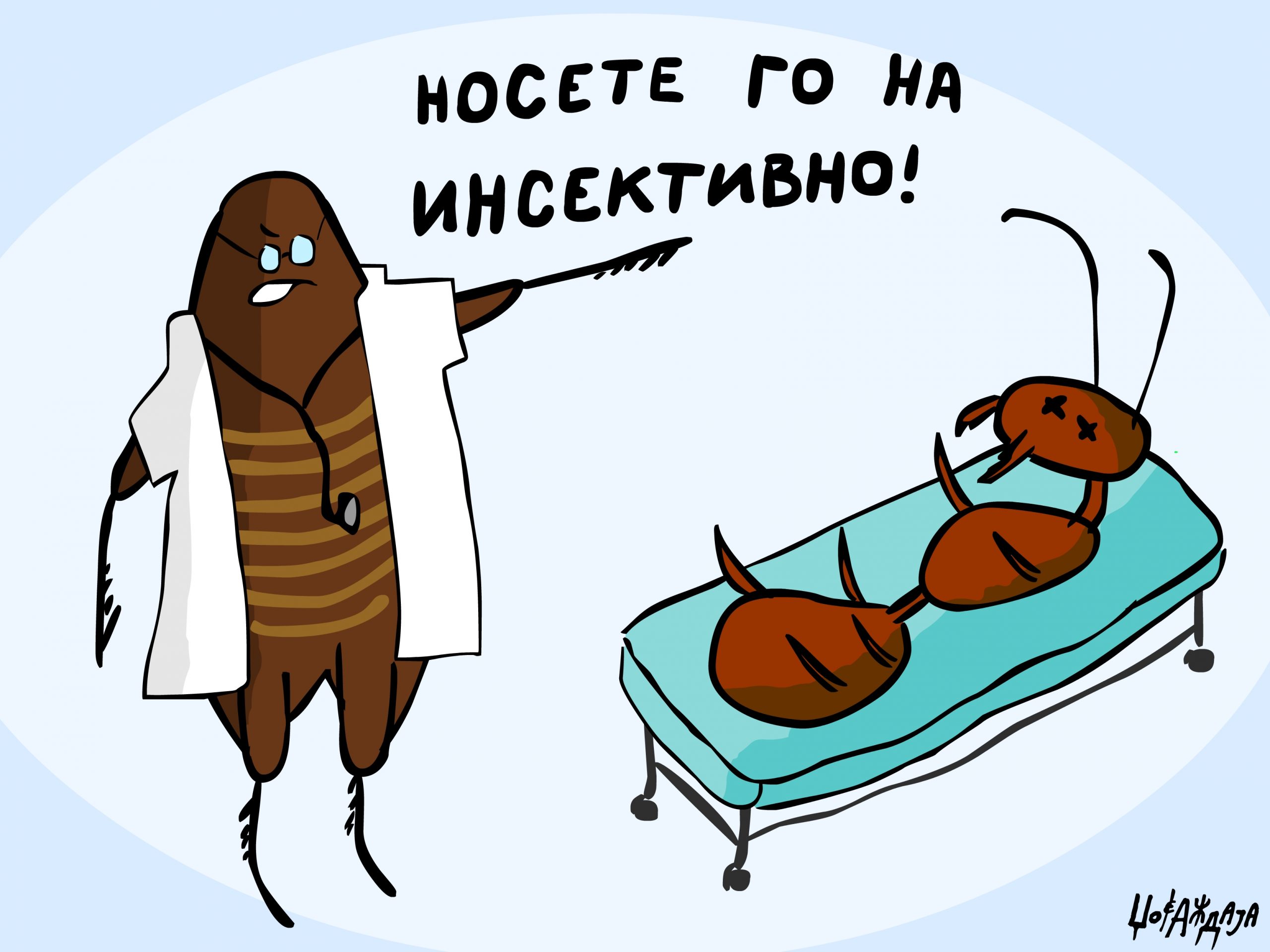 налсовна слика