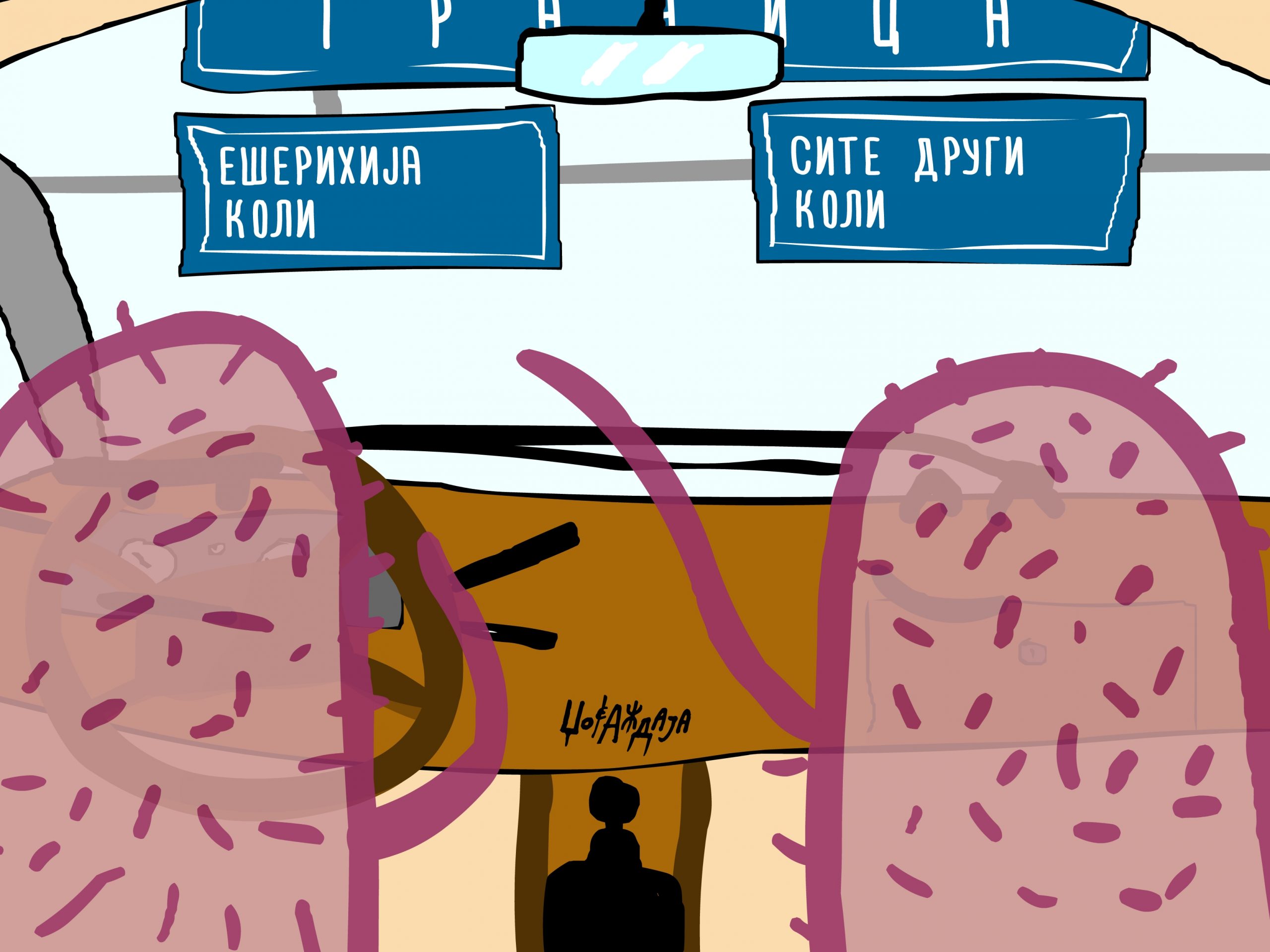 налсовна слика