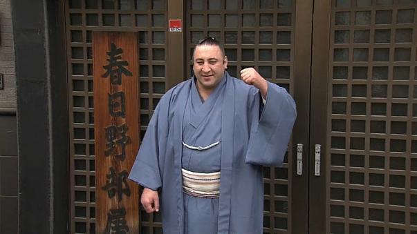 налсовна слика