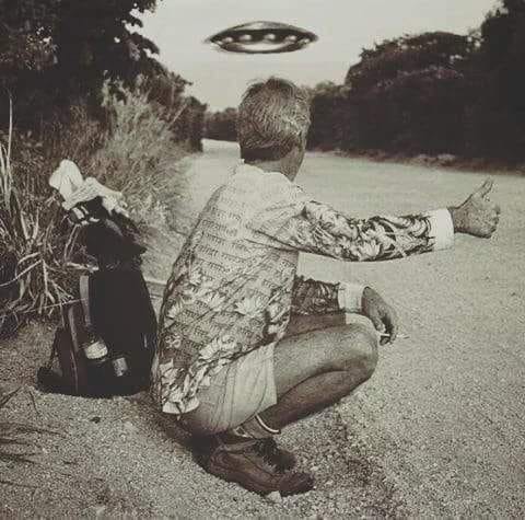 налсовна слика