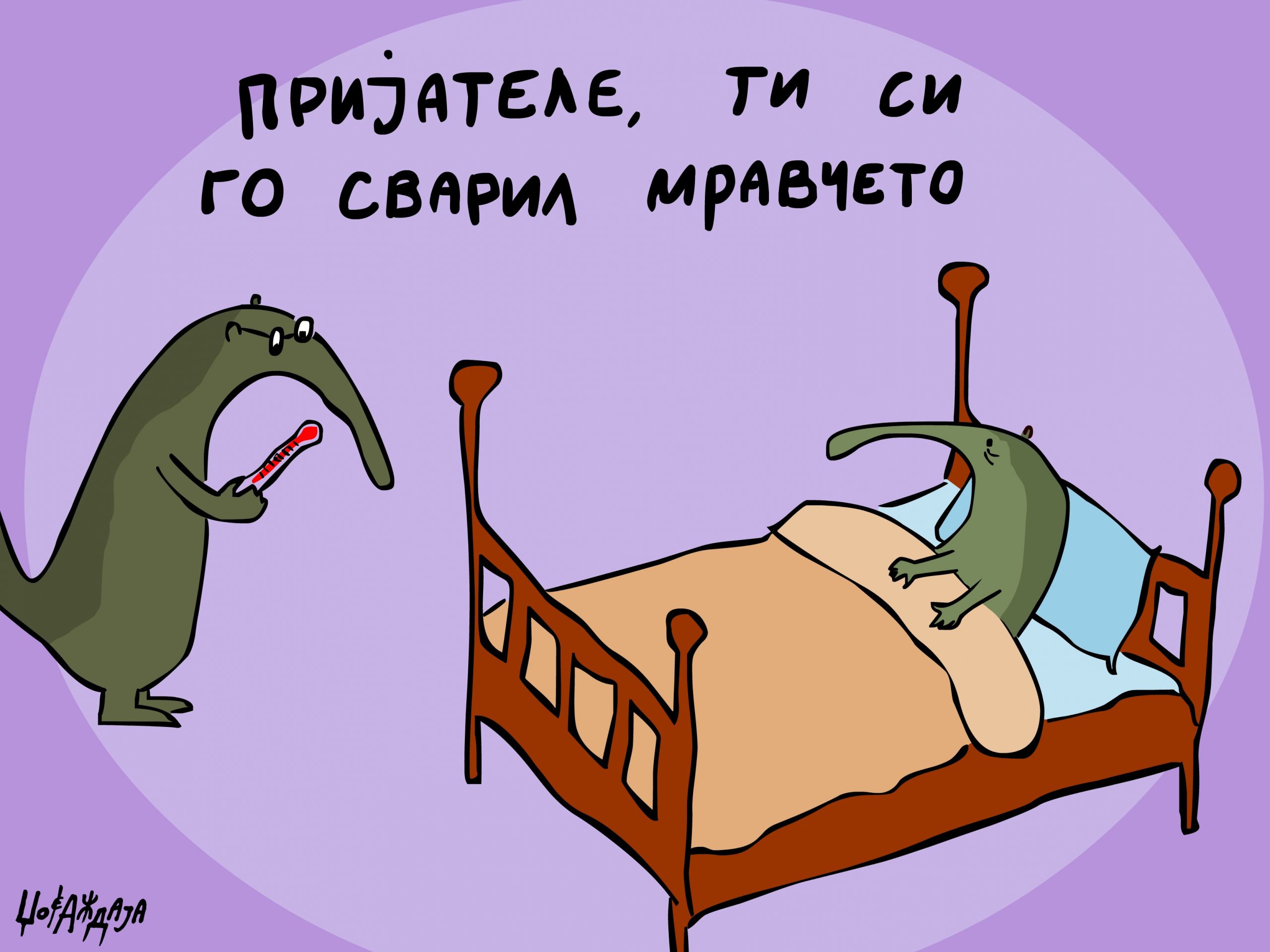 налсовна слика