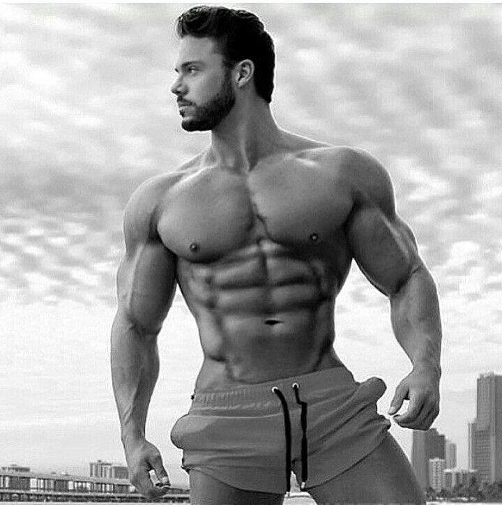 налсовна слика