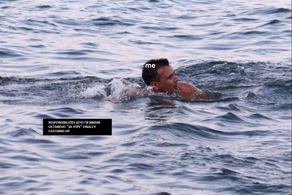 налсовна слика