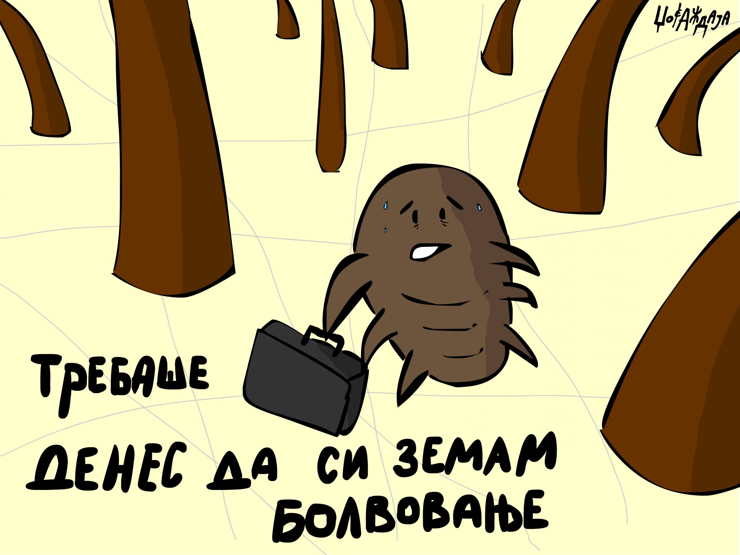 налсовна слика