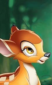 налсовна слика