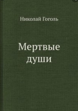 налсовна слика