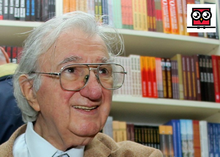 налсовна слика