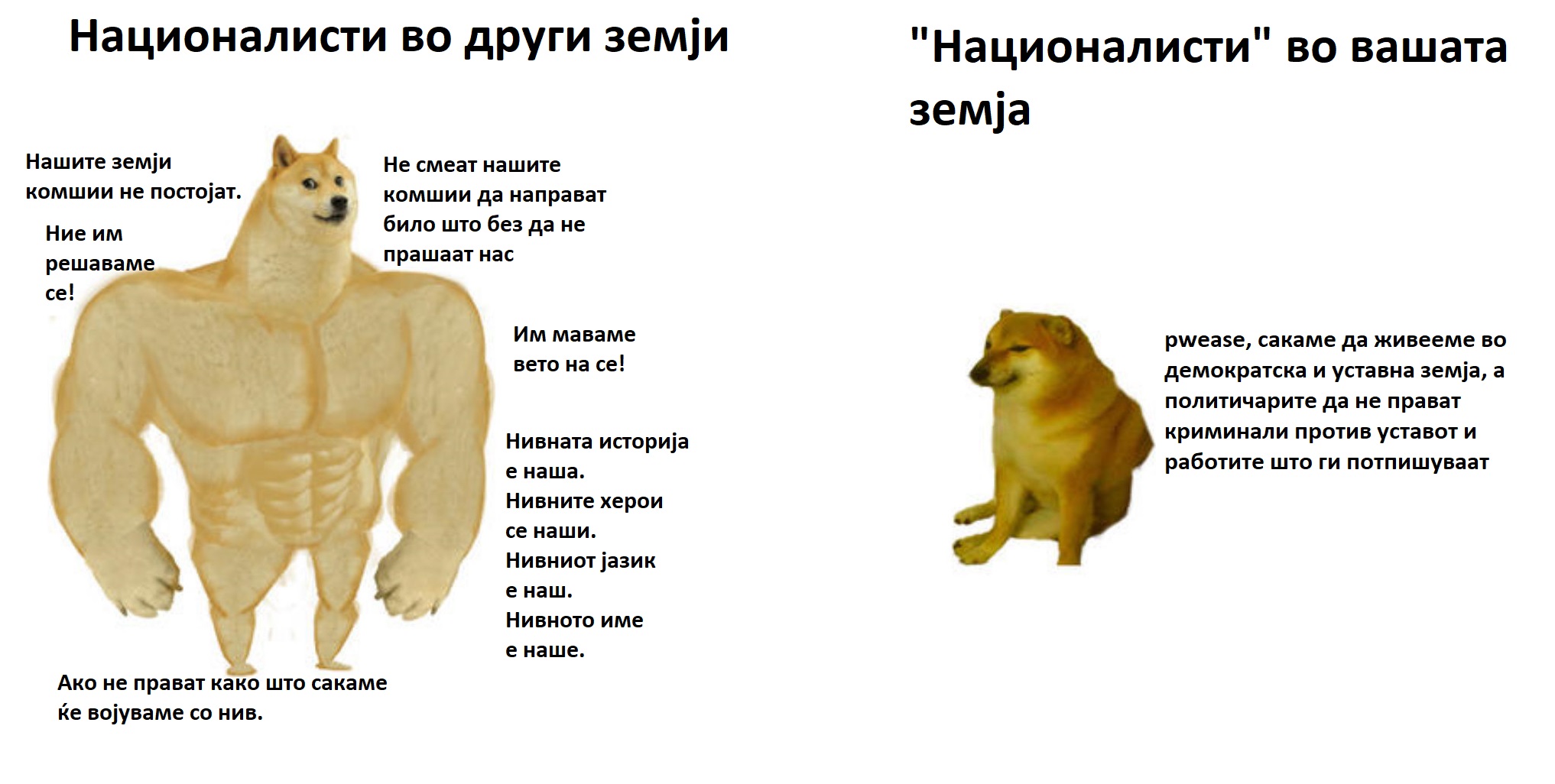 налсовна слика