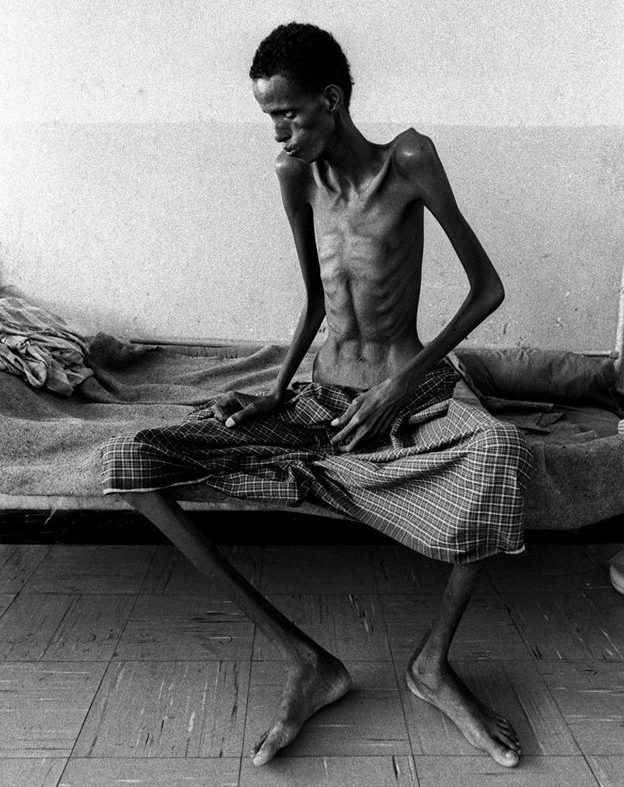 налсовна слика