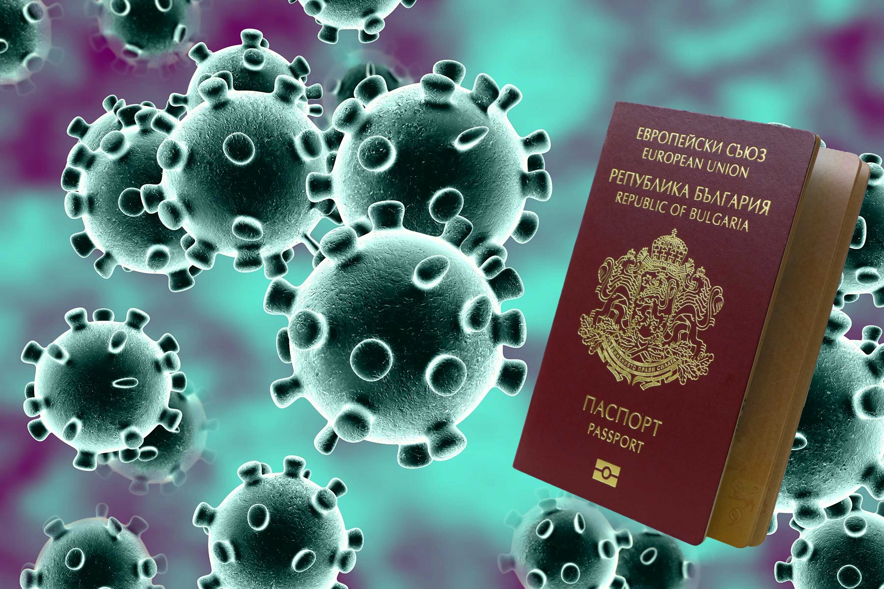 налсовна слика