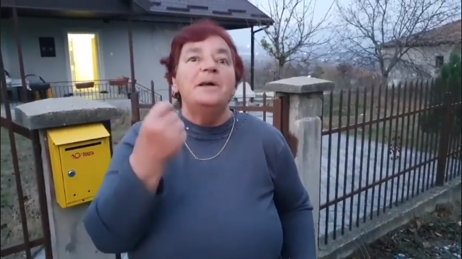 налсовна слика