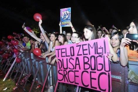 налсовна слика