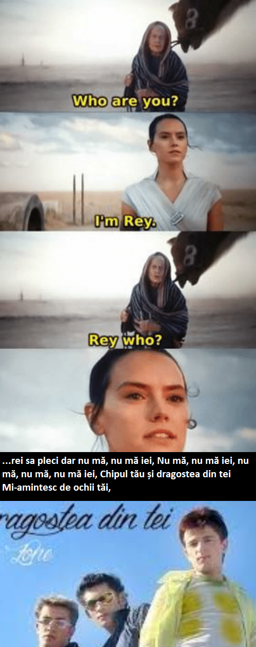 налсовна слика