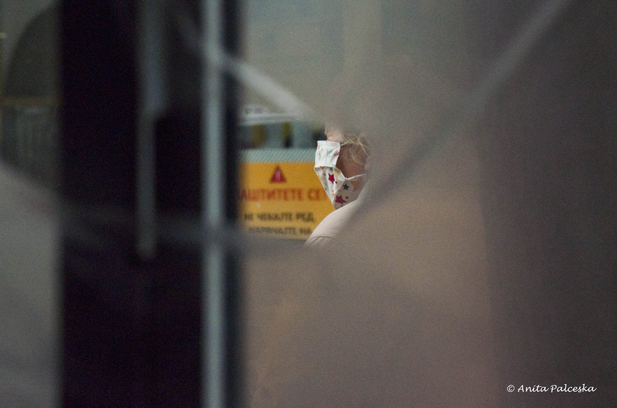 налсовна слика