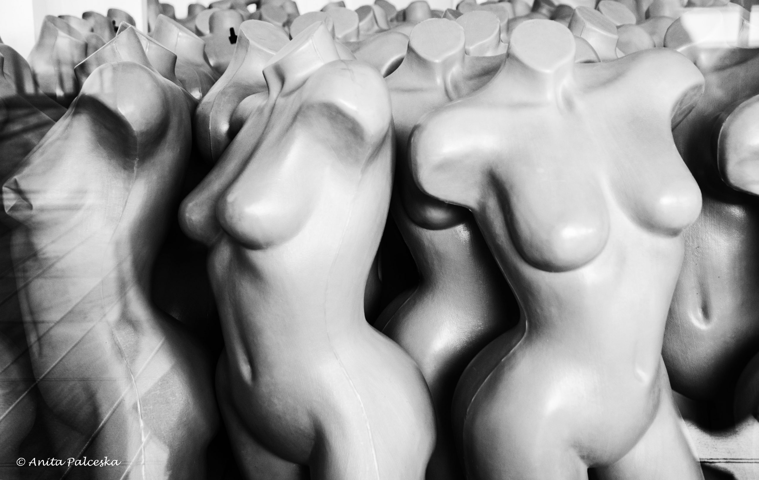 налсовна слика