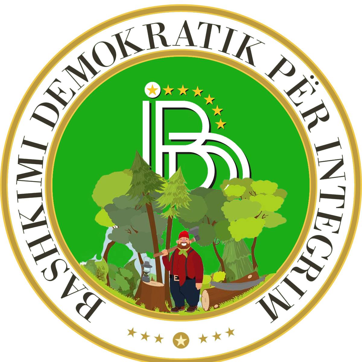 налсовна слика