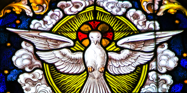 налсовна слика