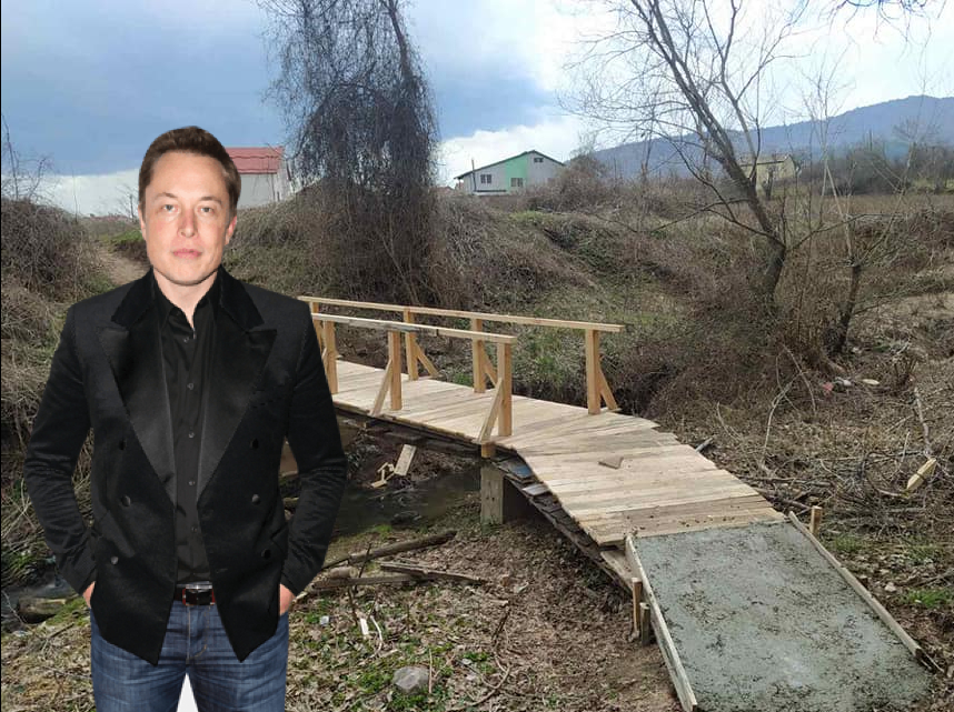 налсовна слика