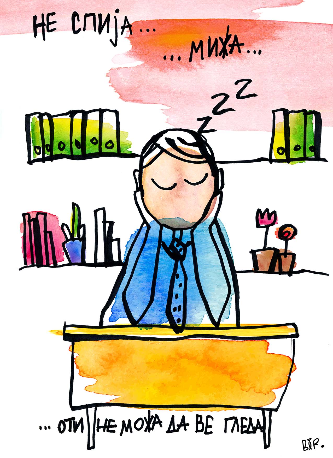 налсовна слика