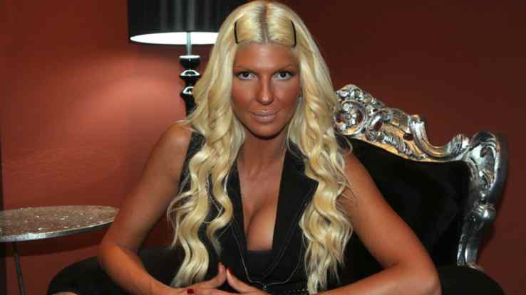 налсовна слика