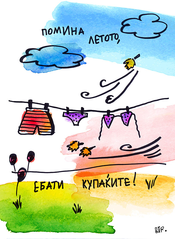 налсовна слика