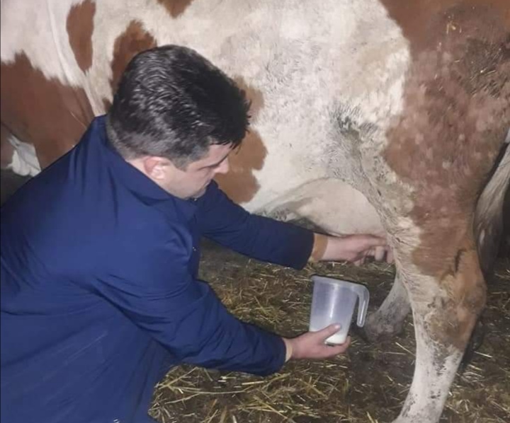 насловна слика