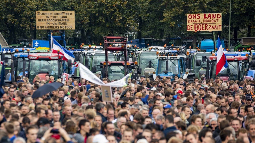 налсовна слика