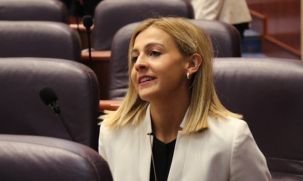 налсовна слика