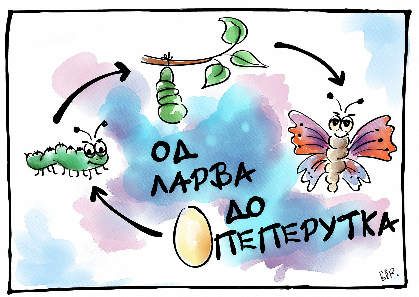 налсовна слика