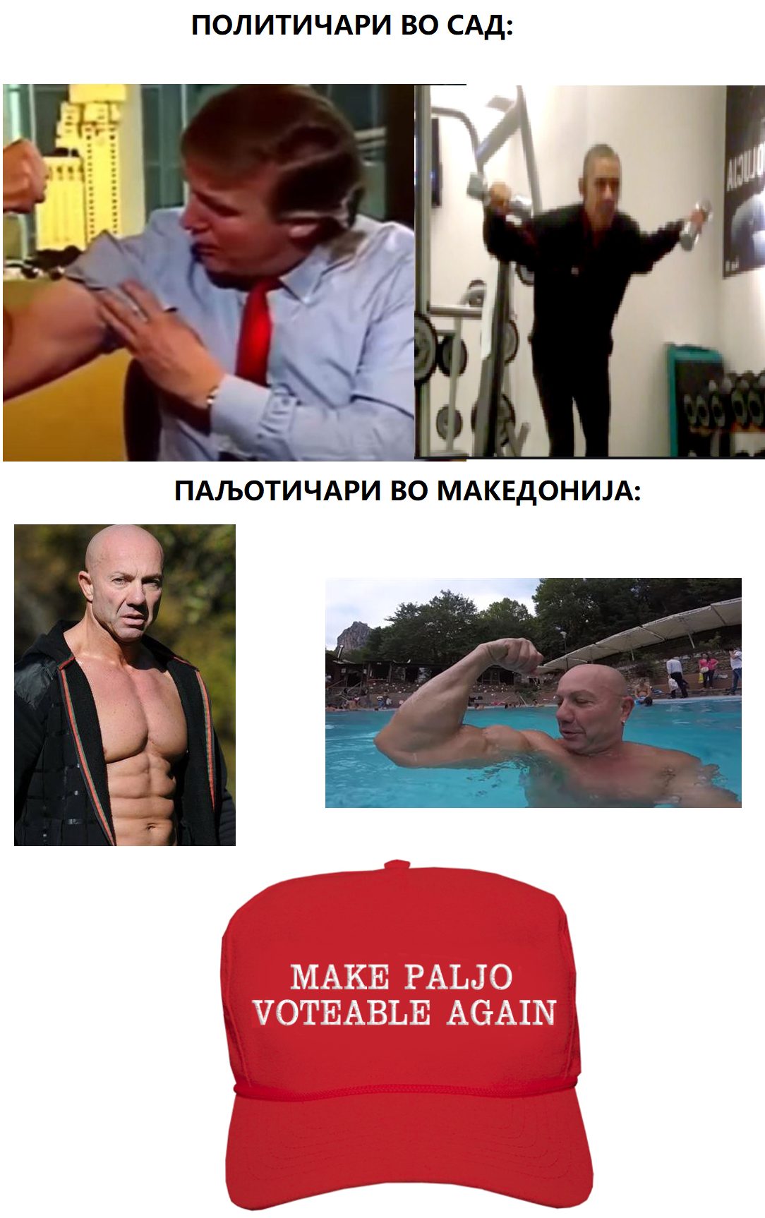 налсовна слика