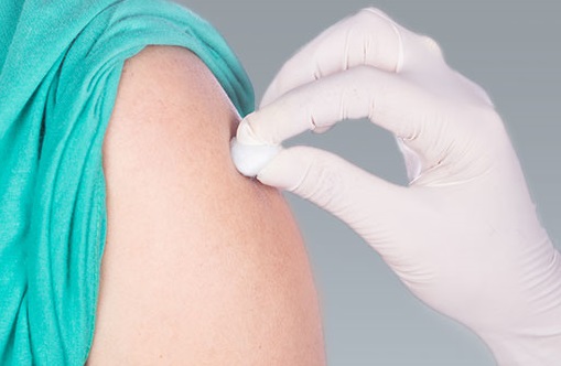 налсовна слика